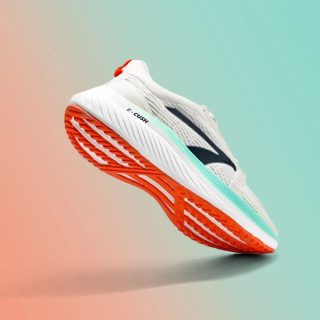 413362044_334732402667053_2526968597514085557_n